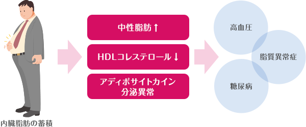 メタボリックシンドローム