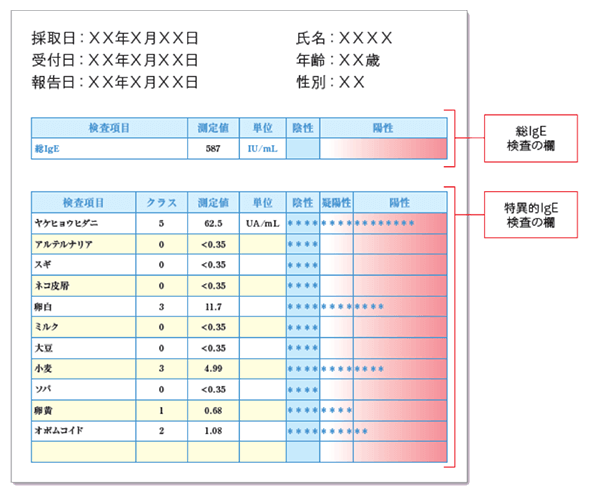 イメージ：一般的なIgE検査の報告書のサンプルのイラスト