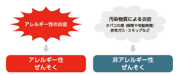 アレルギー性の炎症 ⇒ アレルギー性ぜんそく 汚染物質による炎症(タバコの煙(喫煙や受動喫煙)排気ガス・スモッグなど)非アレルギー性ぜんそく