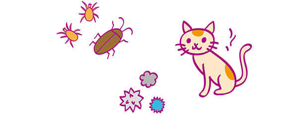 イメージ：アレルギー抗原（ハウスダスト、ダニ、ゴキブリ、猫）