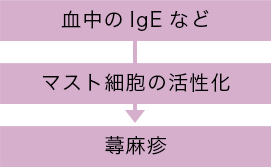 血中のlgEなど マスト細胞の活性化 蕁麻疹
