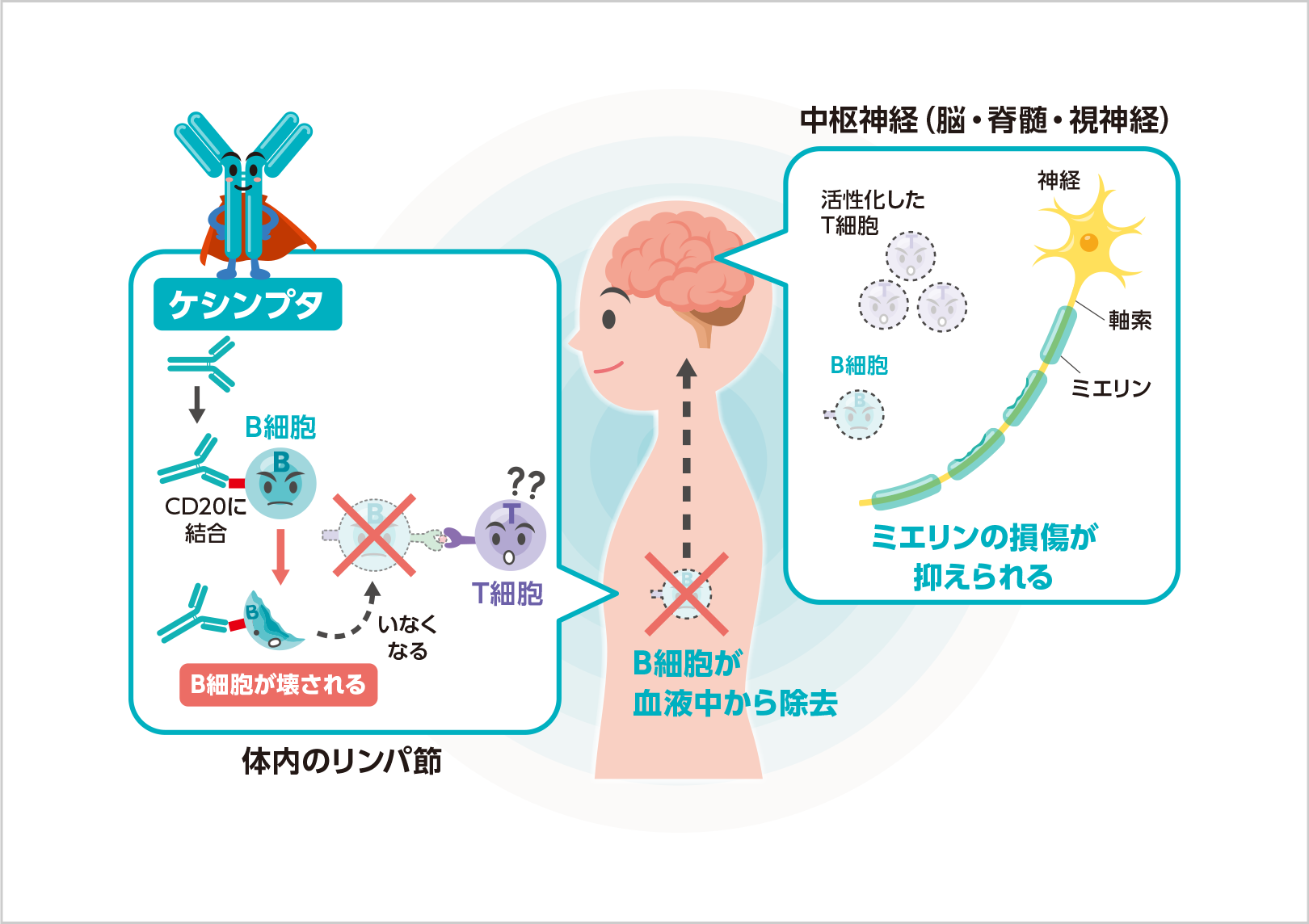 ケシンプタ投与後（イメージ図）