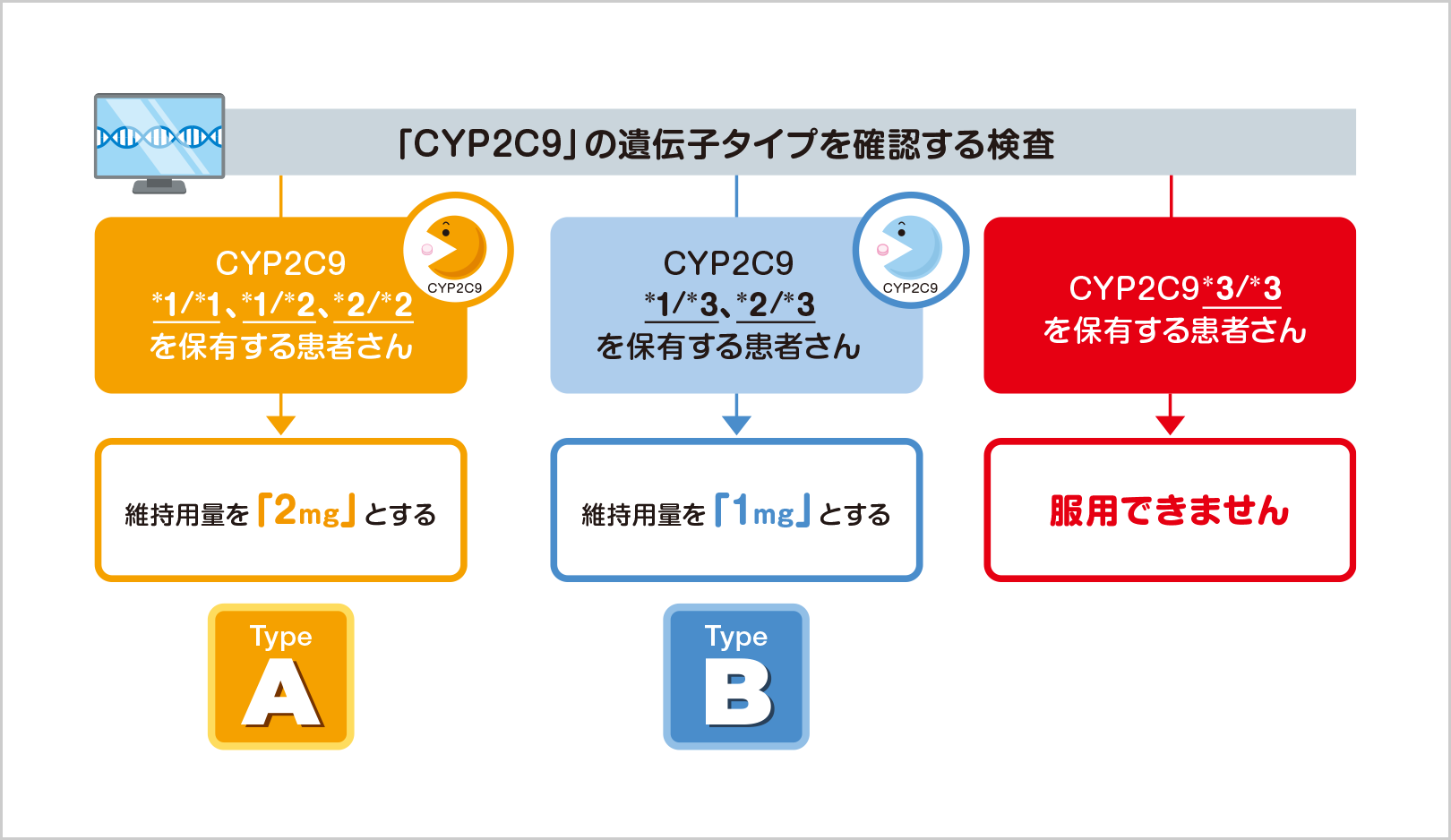 「CYP2C9」の遺伝子タイプを確認する検査　CYP2C9 *1/*1、*1/*2、*2/*2 を保有する患者さん→維持用量を「2mg」とする Type A　CYP2C9 *1/*3、*2/*3 を保有する患者さん→維持用量を「1mg」とする Type B　CYP2C9 *3/*3を保有する患者さん→服用できません