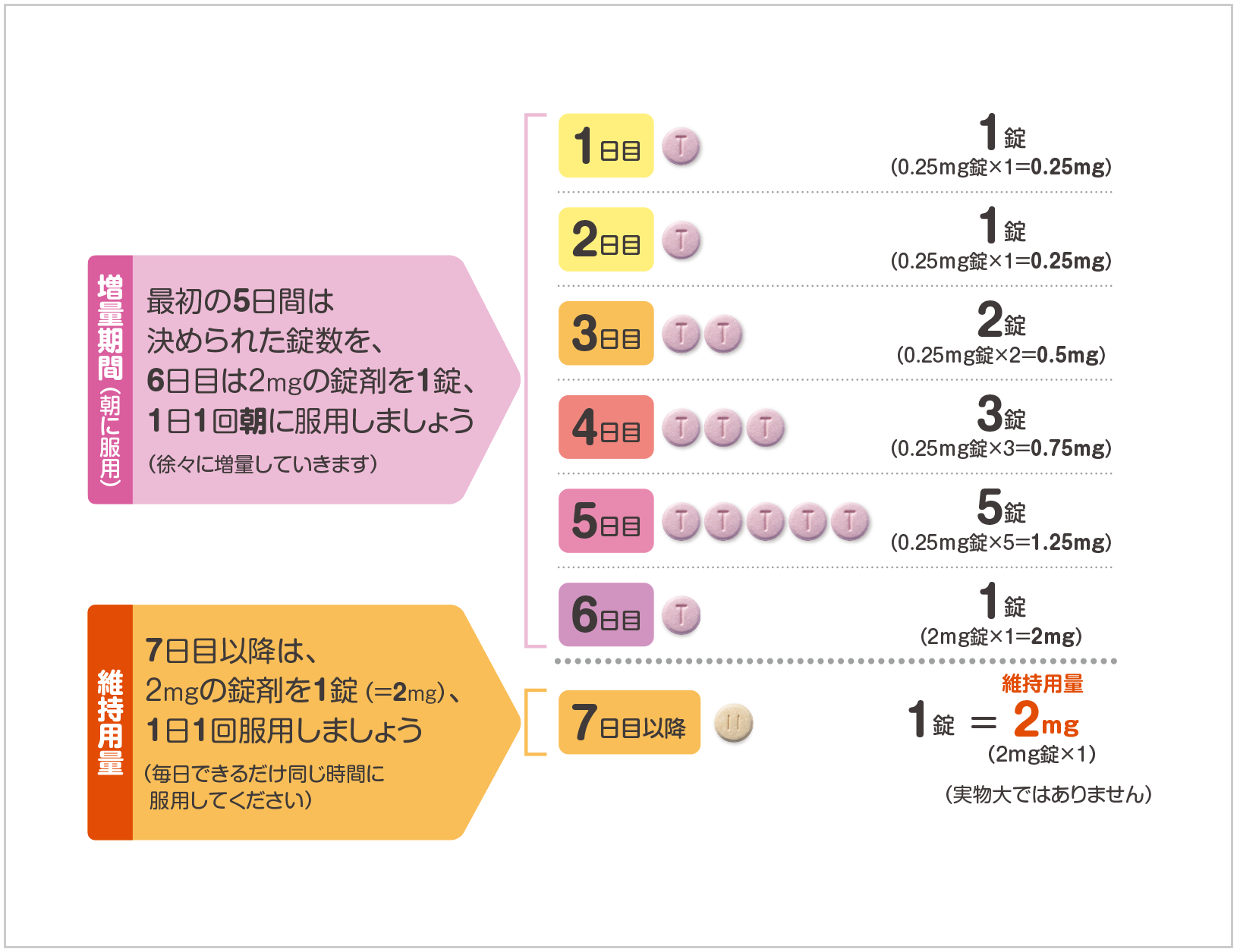 増量期間(朝に服用) 最初の5日間は決められた錠数を、6日目は2mgの錠剤を1錠、1日1回朝に服用しましょう(徐々に増量していきます) 1日目 1錠(0.25mg錠×1=0.25mg) 2日目 1錠(0.25mg錠×1=0.25mg) 3日目 2錠(0.25mg錠×2=0.5mg) 4日目 3錠(0.25mg錠×3=0.75mg) 5日目 5錠(0.25mg錠×5=1.25mg) 6日目 1錠(2mg錠×1=2mg) 維持用量 7日目以降は、2mgの錠剤を1錠(=2mg)、1日1回服用しましょう(毎日できるだけ同じ時間に服用してください) 7日目以降 1錠=維持用量 2mg(2mg錠×1)