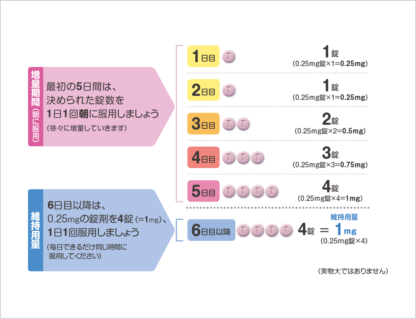 増量期間（朝に服用） 最初の5日間は、決められた錠数を1日1回朝に服用しましょう（徐々に増量していきます）　1日目 1錠（0.25mg錠×1=0.25mg）　2日目 1錠（0.25mg錠×1=0.25mg）　3日目 2錠（0.25mg錠×2=0.5mg）　4日目 3錠（0.25mg錠×3=0.75mg）　5日目 4錠（0.25mg錠×4=1mg）　維持用量 6日目以降は、0.25mgの錠剤を4錠（=1mg）、1日1回服用しましょう（毎日できるだけ同じ時間に服用してください）　6日目以降　4錠=維持用量 1mg(0.25mg錠×4)