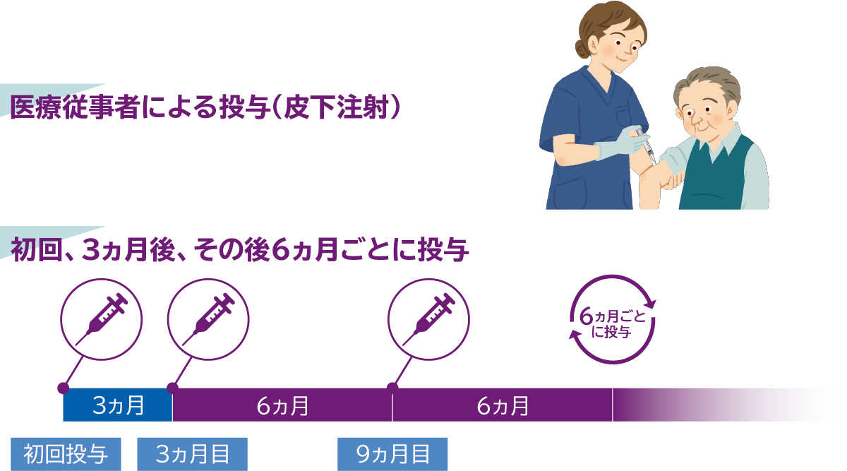 投与時期のイメージ図
