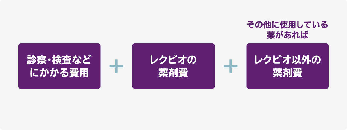 診察・検査などにかかる費用+レクビオの薬剤費+その他に使用している薬があれば レクビオ以外の薬剤費