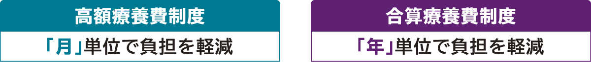 高額療養費制度：「月」単位で負担を軽減 合算療養費制度：「年」単位で負担を軽減