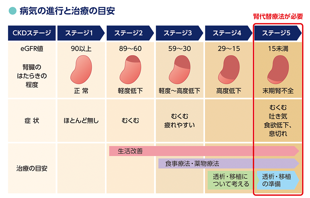 イメージ画像：病気の進行と治療の目安
