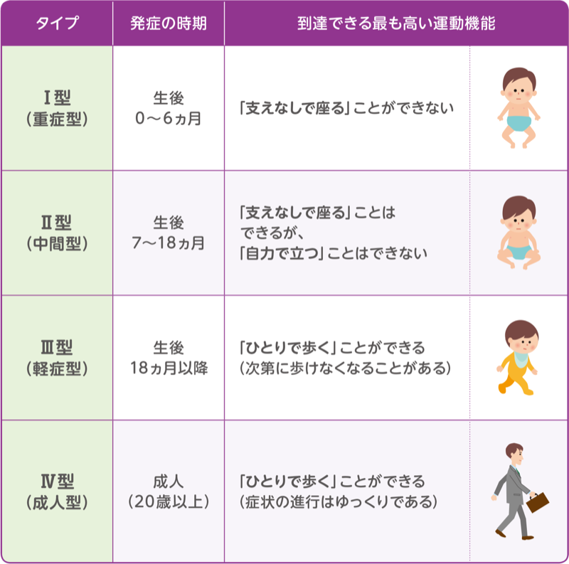 表:SMAのタイプごとの発症の時期、到達できる最も高い運動機能