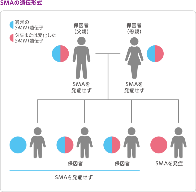 図：SMAの遺伝形式