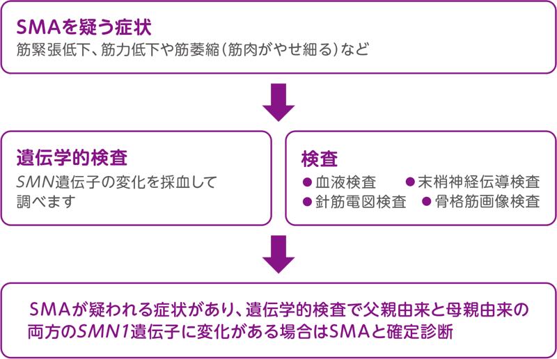 SMAと確定診断されるまでの流れ
