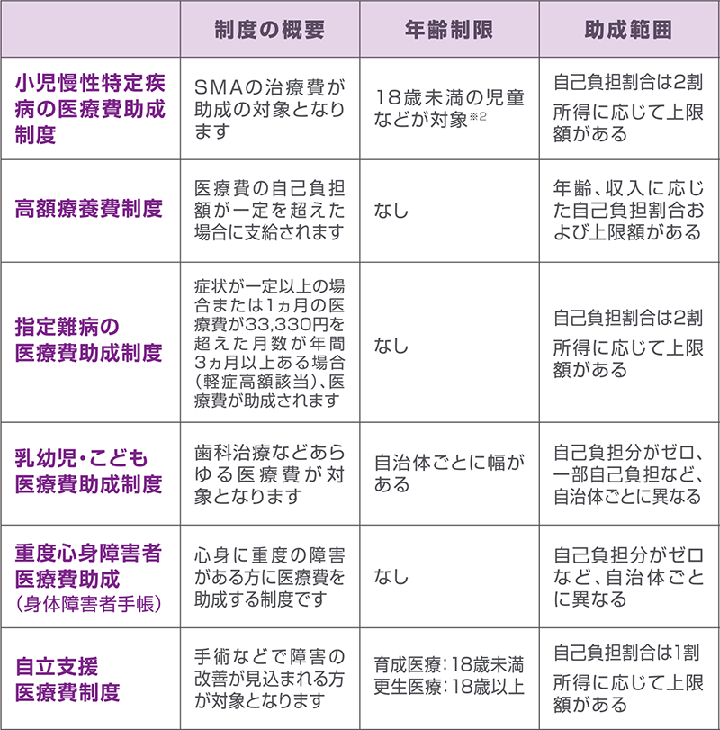 表：各制度の概要、年齢制限、助成範囲
