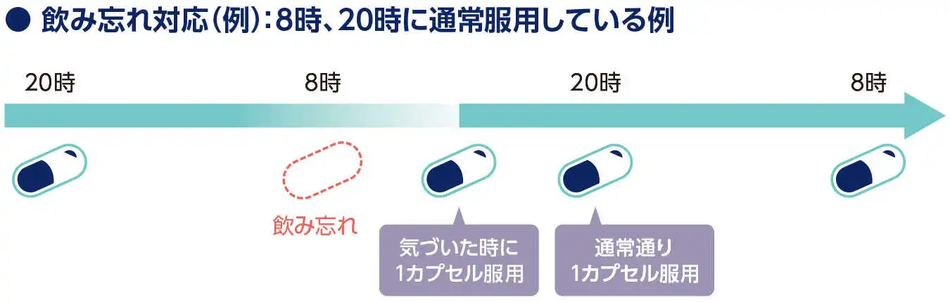 飲み忘れ対応（例）：8時、20時に通常服用している例
