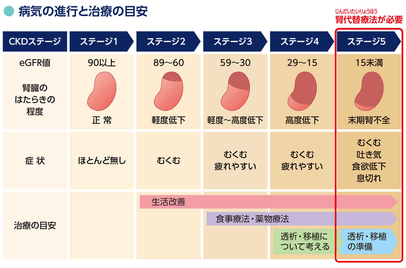 イメージ画像：病気の進行と治療の目安
