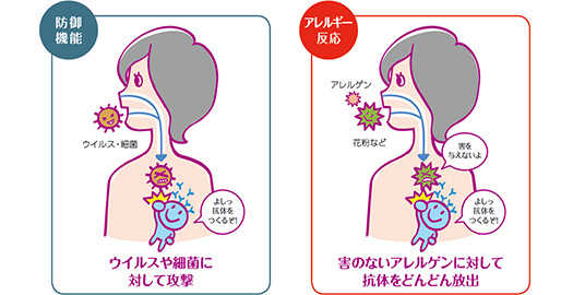 イメージ：アレルギーとは
