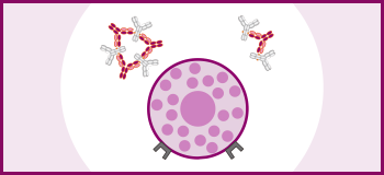 ゾレアのしくみ