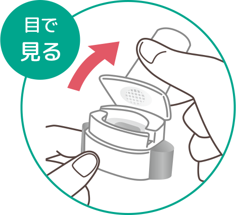 目で見る