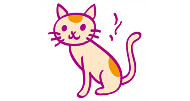 イメージ：ペット（猫）
