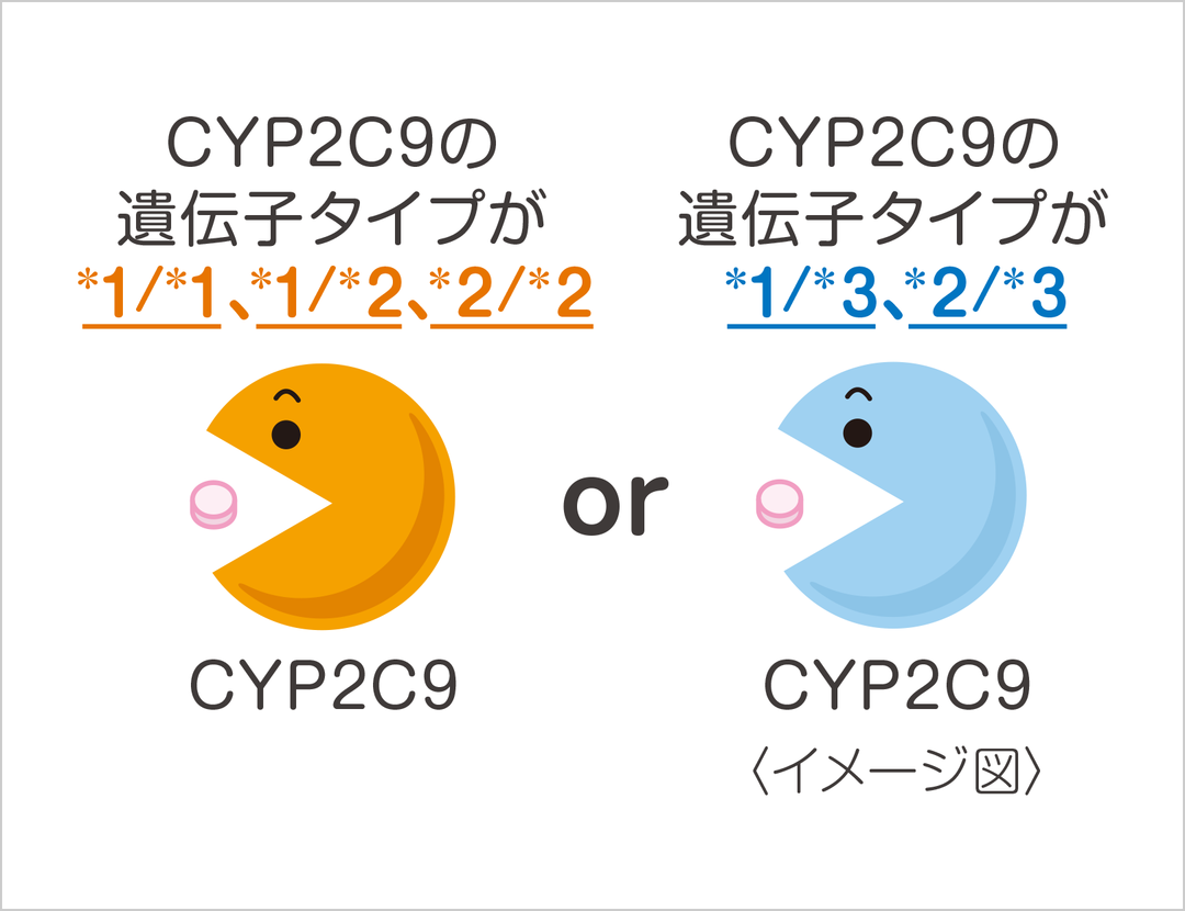 CYP2C9の遺伝子タイプが、*1/*1、*1/*2、*2/*2、　or　CYP2C9の遺伝子タイプが、*1/*3、*2/*3<イメージ図>